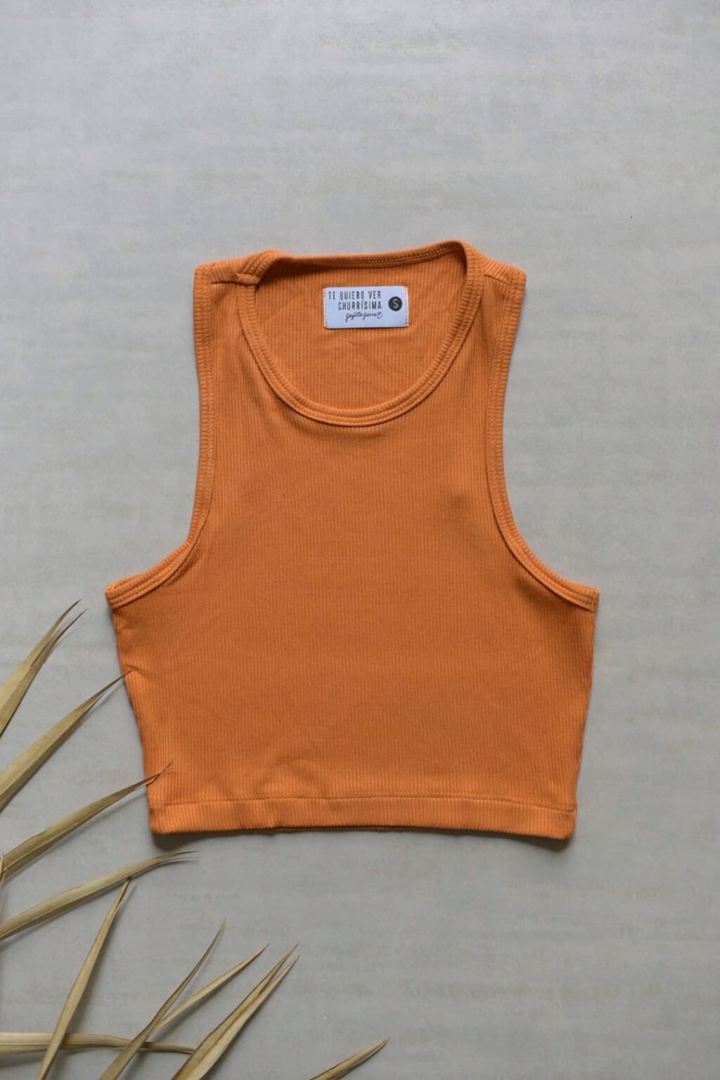 Crop Top De Rayas Sin Manga